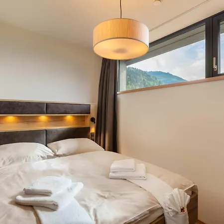 Emma Deluxe Aparthotel, Aircondition, Ganzjaehrig Beheizter Aussenpool & Skibus Direkt Vor Der Tuer Piesendorf