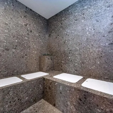 Aparthotel Emma Deluxe Aparthotel, Aircondition, Ganzjaehrig Beheizter Aussenpool & Skibus Direkt Vor Der Tuer Piesendorf