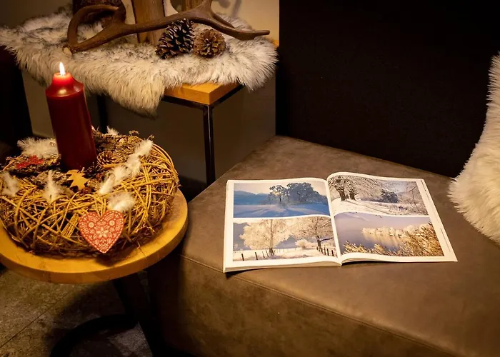 Aparthotel Emma Deluxe Aircondition In Summer & Ganzjaehrig Beheizter Aussenpool Direkt Beim Skibus